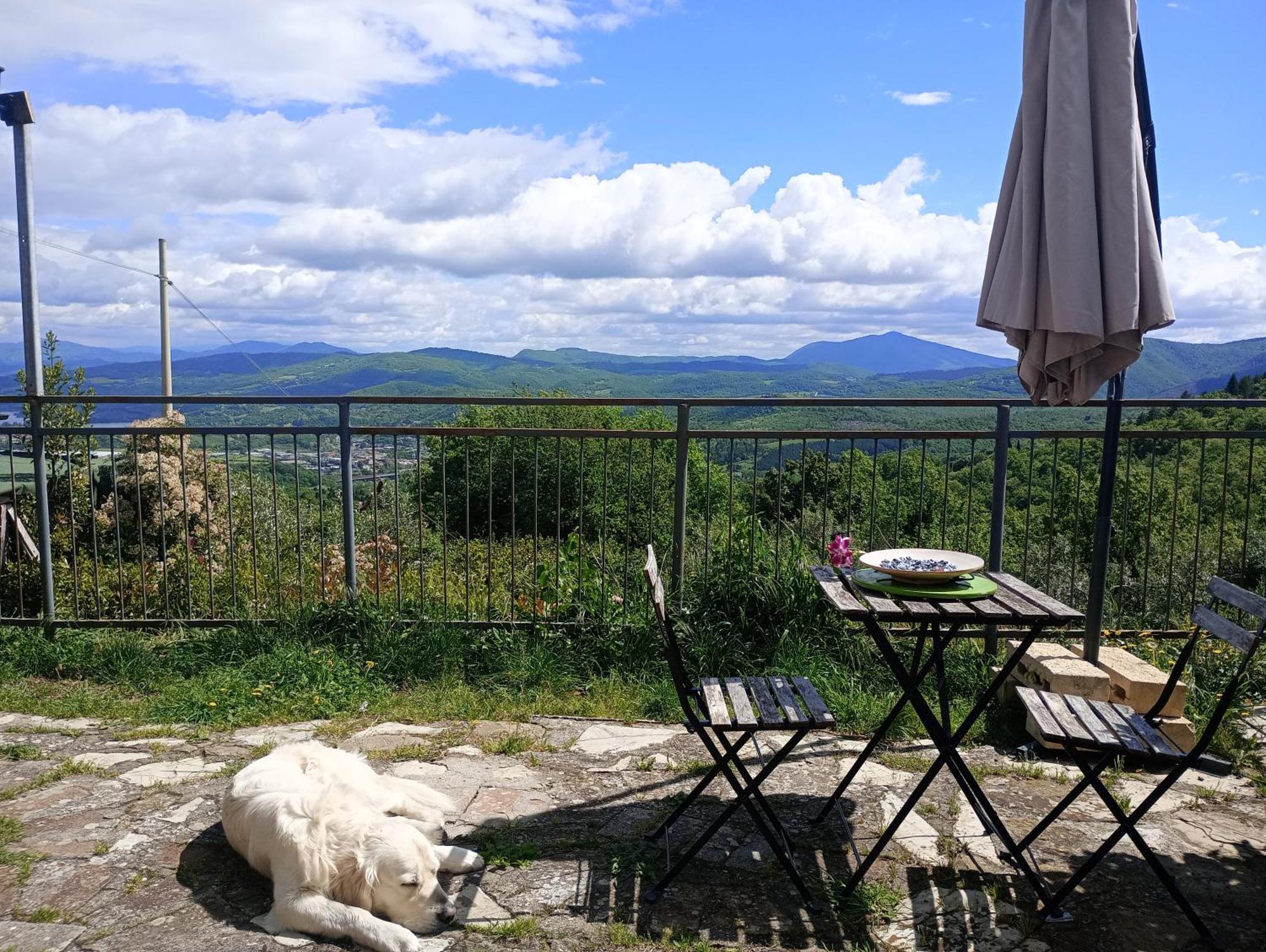 Il Podere Di Massi Barberino di Mugello Cameră foto