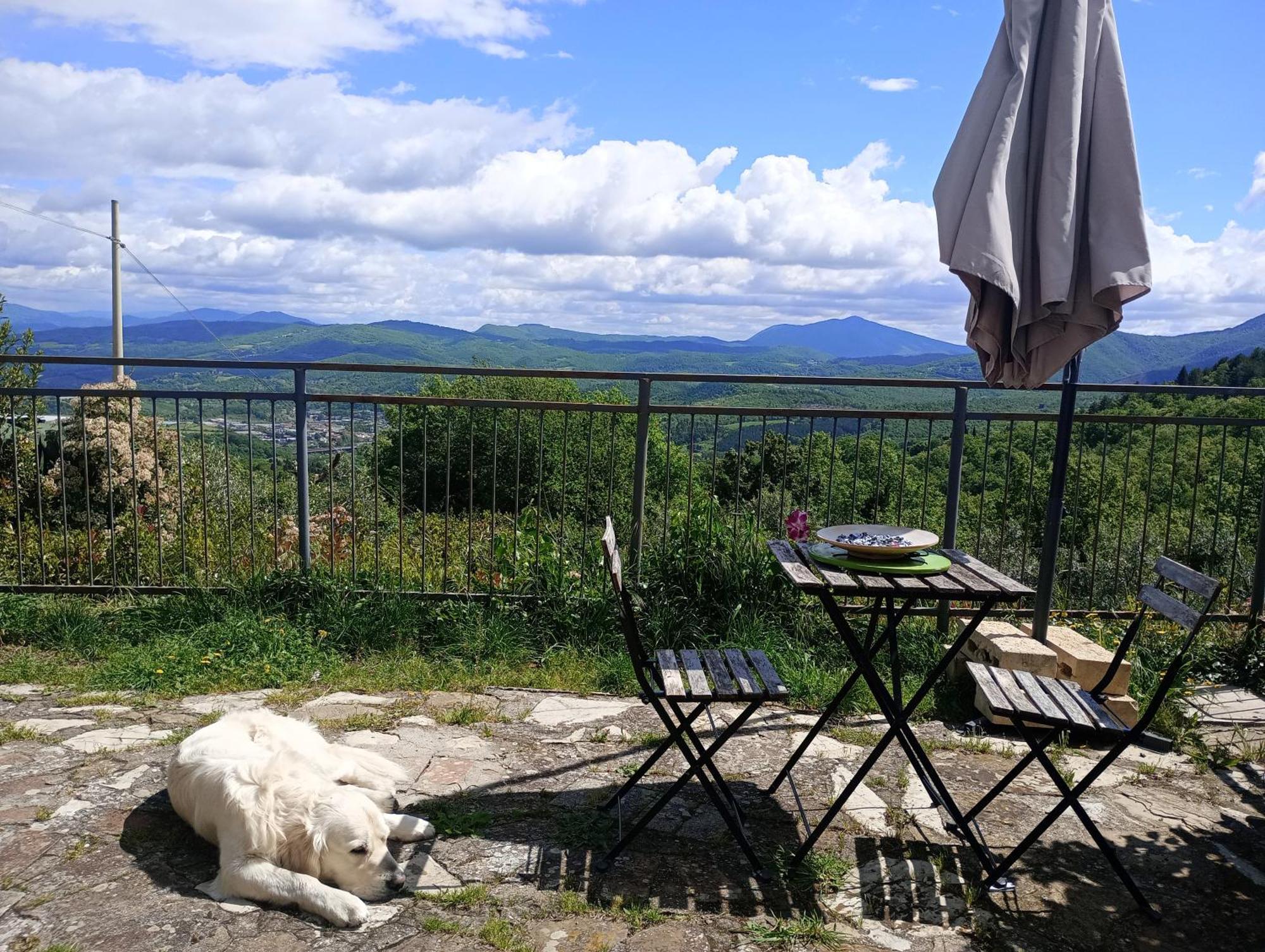 Il Podere Di Massi Barberino di Mugello Exterior foto